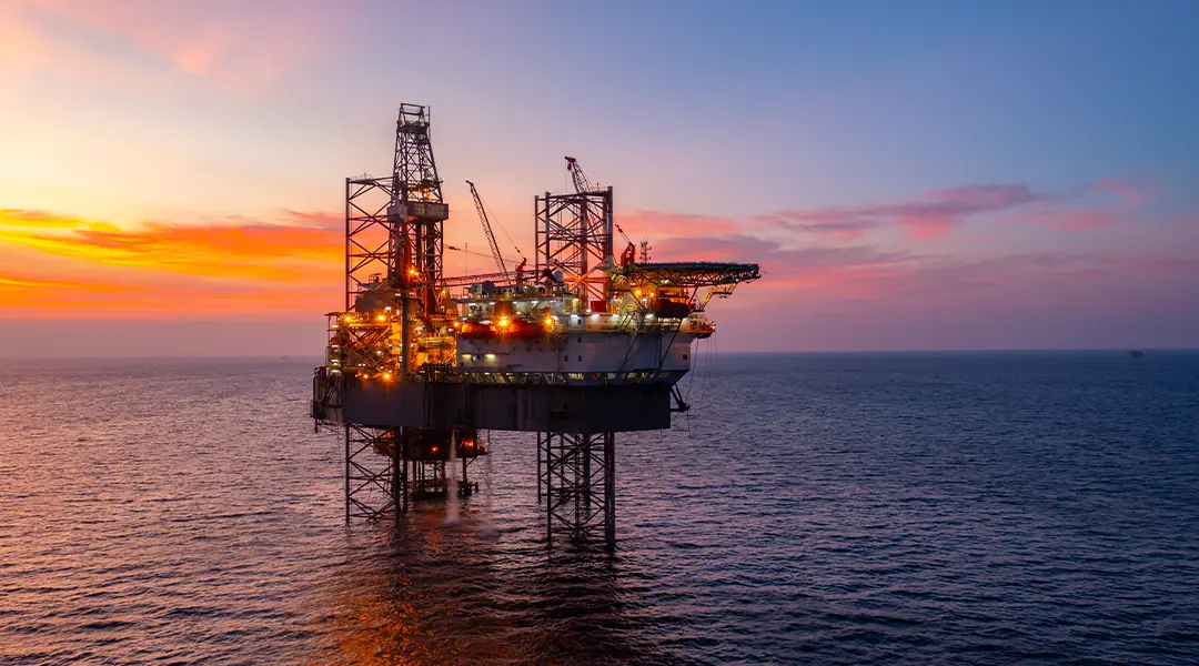 Petrochemical Sector